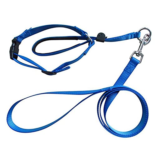 Boolavard Dog Collars & Leashes Pet Head Collar Gentle Control Leash Leader Stop Pulling Training Tool No-Pull Painless (Large, Blue)