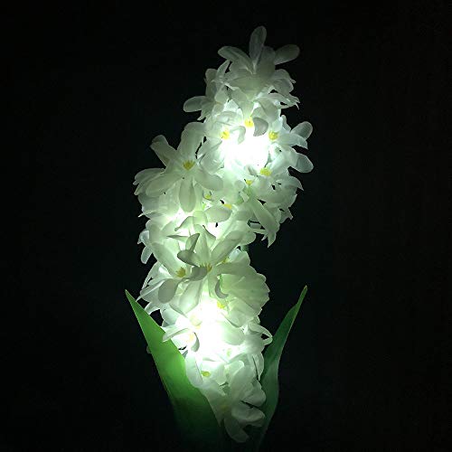 2 Hatop+Hyacinth+Powered+Backyard+Decorations