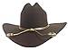 King County Sheriff Hat Brown Lined Cowboy Western Gold Cord LG/XL Zombie Hunter