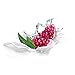 Dove go fresh Beauty Bar, Pomegranate and Lemon Verbena 4 oz, 6 Bar