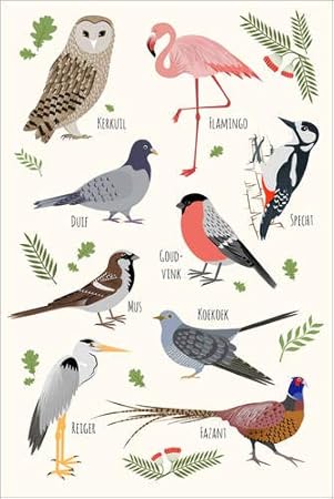 Posterlounge Forex Platte 40 X 60 Cm Vogelarten Niederlandisch - 