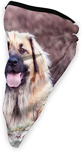 多機能防風防塵 フェイス ガード レオンベルガー犬 ネックカバーアウトドアバンダナ ヘッドウェア日焼き止め吸汗速乾スノボーサバゲーバイク自転車の運転の必需品多機能夏男女兼用 B0c2rkgd 900円