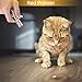 Depets Rechargeable Cat Red Pointer Toy, 3 in 1 Red Light Pointer, Interactive Light Training Tool with USB Charging for Cat Dog Exercise Playing