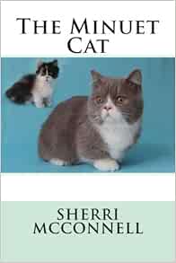 the minuet cat mcconnell sherri l 9781522938477 amazon com books the minuet cat mcconnell sherri l
