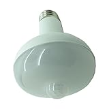 LED BR25 flood light bulbs with Motion Detection Sensor PIR Infrared Motion Sensor light bulb(daylight)