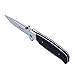Ganzo G7522 Folding Hunting Pocket EDC Handle Knife (Black)