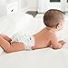 aden + anais 80-count diapers; noah size 2 (12-18 lbs); 2