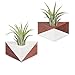 Air Plant Holder, 2 Pack Tillandsia Holder Triangle Geometric Planter Air Plant Holders Container Tabletop Display Stand Vase Pot with Magnet for Hanging Small Air Plants Indoor Wall Home Decor