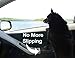 Black-(10 Pack)-6mm Thick-Self-Stick Adhesive Foam Sheets 9.5