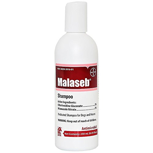 malaseb shampoo amazon