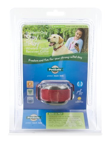 PetSafe Stubborn Dog Stay and Play Wireless Fence Receiver Collar, Waterproof and Rechargeable, Tone and Static Correction