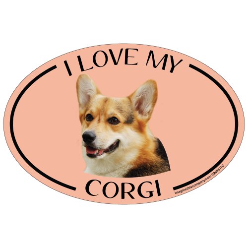 Imagine This Oval Magnet, I Love My Corgi