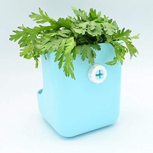 3 Plastic+Rabbits+Chinchillas+Guinea+Animals