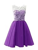 JY Women's Ruched Sleeveless Lace Short Party Dresses Evening Gowns