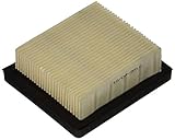 Stens 100-450 Air Filter Replaces Tecumseh 36046 740061