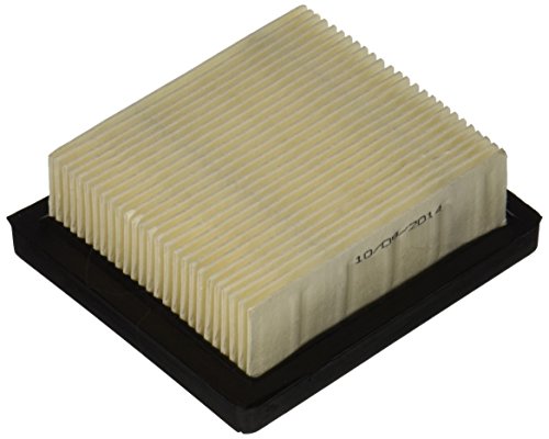 Stens 100-450 Air Filter Replaces Tecumseh 36046 740061