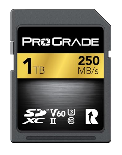 SD UHS-II 1TB Karte V60 - Schreibgeschwindigkeit bis zu 130MB/s und Lesegeschwindigkeit von 250MB/s | Für professionelle Filmemacher, Fotografen und K