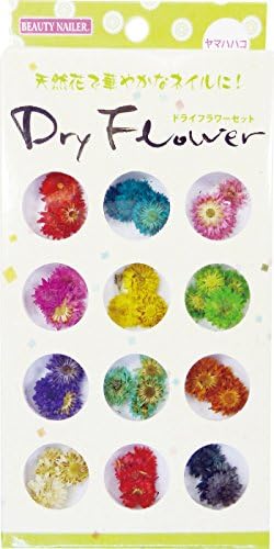 Harajuku Nail Dry Flower Set DRF-2