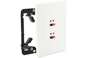 DIYTECH Premium 2 Speaker Wall Plate, Speaker Plug, Supports 2 Speaker Configurations, Speaker Port for Wall Speaker Wire, Speaker Wire in Wall, Wire Wall Plate - 1 Gang Screwless