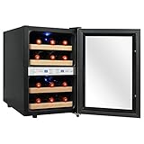 Firebird 12 Bottles Dual Zone Reversible Doors Stainless Steel Finish Wooden Shelves Freestanding Electric Wine Cooler Cellar