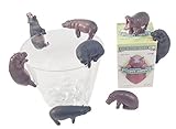 Kitan Club Putitto Pygmy Hippopotamus Cup Toy - Blind Box Includes 1 of 8 Collectable Figurines - Hangs on Thin, Flat Edges - Authentic Japanese Design - Made from Durable Plastic, Premium Quality