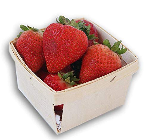 Jumping Daisy Pint Square Vented Wooden Berry Baskets - Set of 20 - Thumbnail 3