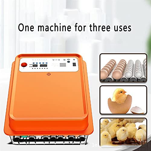 FHISD Inkubator Digital Hatcher Automatische Brutmaschine mit automatischer Wendefunktion mit LED-Beleuchtung… – Bild 8