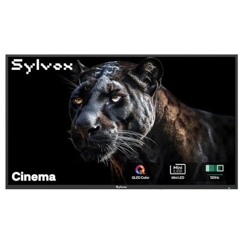SYLVOX 75 inch Outdoor 4K QLED TV