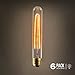 Edison light bulb – 6 Pack – The Longhorn - 40 Watt Bulb - Choose from many other designs. Inspired by Thomas Edison these incandescent filament style bulbs provide retro vintage light ambiance