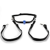 Hands Free Double Dog Leash - Black. Including Led Light. For Walking, Running, Biking and Jogging
