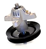 Raisman Spindle Assembly Replaces CUB Cadet 918-04461 618-04456 918-04456 618-04456A 618-04461 Oregon 82-407 Toro 112-0460 (1)