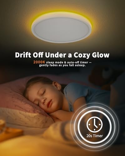 Plafón LED Regulable 24W con Mando – Lámpara de Techo con Luz Nocturna 2000K, Temporizador, Diseño Redondo Ultrafino para Dormitorio, Salón, Cocina, Habitación Infantil Ø30cm