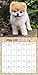 Boo Wall Calendar (2017)