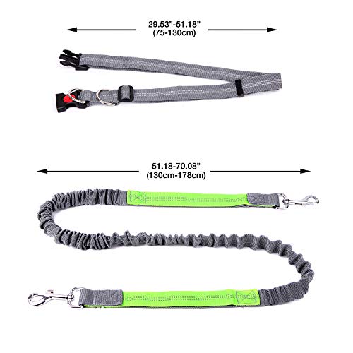 YIHATA Hand Free Hands Dog Leash 6FT Bungee Running Leashes for Dogs Reflective Backpacking Waist Belt Adjustable Biking Rugged Woaat Collar Halti Muzzle Night, Ideal for Small, Medium, Large Dogs