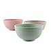 Lightweight Degradable Wheat Straw Bowls 6