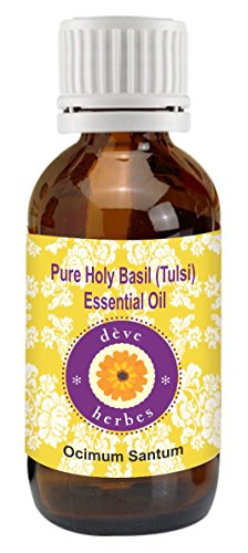 Deve Herbes Pure Holy Basil (Tulsi) Essential Oil (Ocimum Sanctum) Steam Distilled 100ml (3.38 oz)