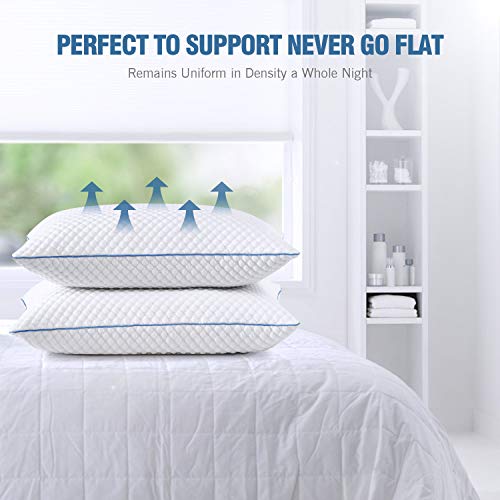 SENOSUR Shredded Memory Foam Pillows for Sleeping 2 Pack, Queen Size