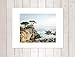 California Coastal Wall Art, Lone Cypress Tree Picture - 5x7, 8x10 Print (not framed), ‘Lone Cypress’