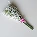 Bringsine Baby Breath Gypsophila White Fake Artificial Flowers for Wedding Bride Party Home Outdoor Home Decor 60 Pieces/Pack