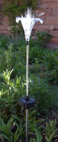 Solaration 1001G Solar Lily Flower Garden Light with Green-Lit Stem, 30-Inch