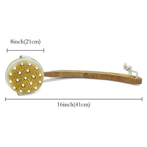Body Brush Back Scrubber Dry Skin Brushing Natural Bristles with Long Wooden Handle for Cellulite and Exfoliating