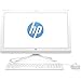 HP 23-inch All-in-One Computer, Intel Pentium J4205, 8GB RAM, 1TB Hard Drive, Windows 10 (24-g216, White)