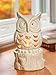 Yankee Candle Owl Luminary Tea Light Gift Set