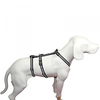 No Exit ausbruchsicheres Hundegeschirr für Angsthunde, Sicherheitsgeschirr für Pflegehunde, Panikgeschirr, Reflexband - 7 Grö