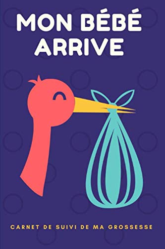Mon Bebe Arrive Mon Carnet De Suivi De Ma Grossesse French Edition Francois Amazon Com Books