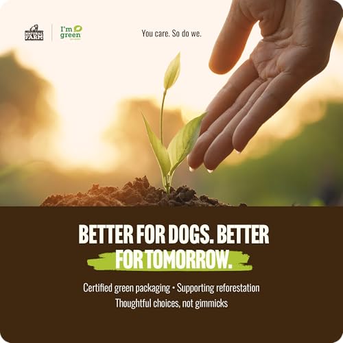 Natural Farm Extra-Thick 12-Inch Beef Bully Sticks Dog Chews (10-Pack) - Odor-Free Dental Treats for Dogs