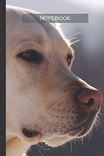 Labrador Notebook: Cool Labrador notebook - Travel Journal to write in - 120 pages - 6"x9"