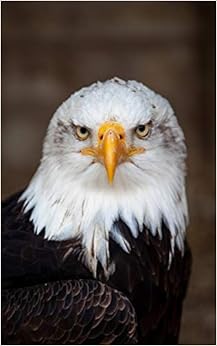 PDF Notebook: Bald eagle bird nature raptor Bill USA golden eagle hawk bald eagle golf golf game bird 1071451901 English Reading