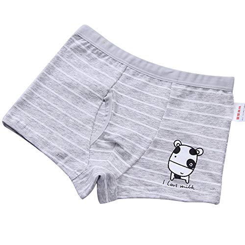 RAISEVERN Slip Boxer da Bambino Pantaloncini di Cotone Shorts Intimo Assortito 4 Pezzi Pantaloni Bambino Pantaloni di Sicurezza 2-3 Anni