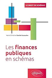 Les  finances publiques en schémas